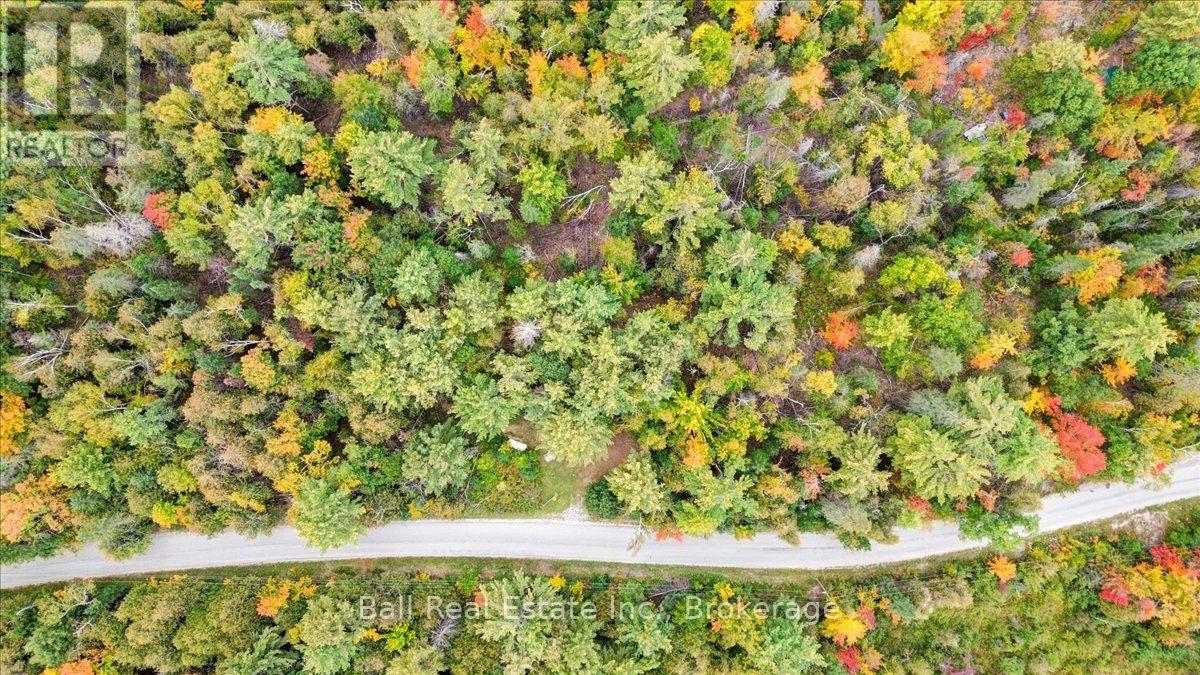 N/a Coon Lake Road, North Kawartha, Ontario K0L 1A0 - Photo 35 - X13847170