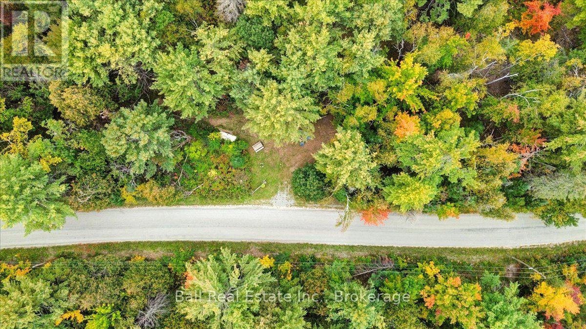 N/a Coon Lake Road, North Kawartha, Ontario K0L 1A0 - Photo 36 - X13847170