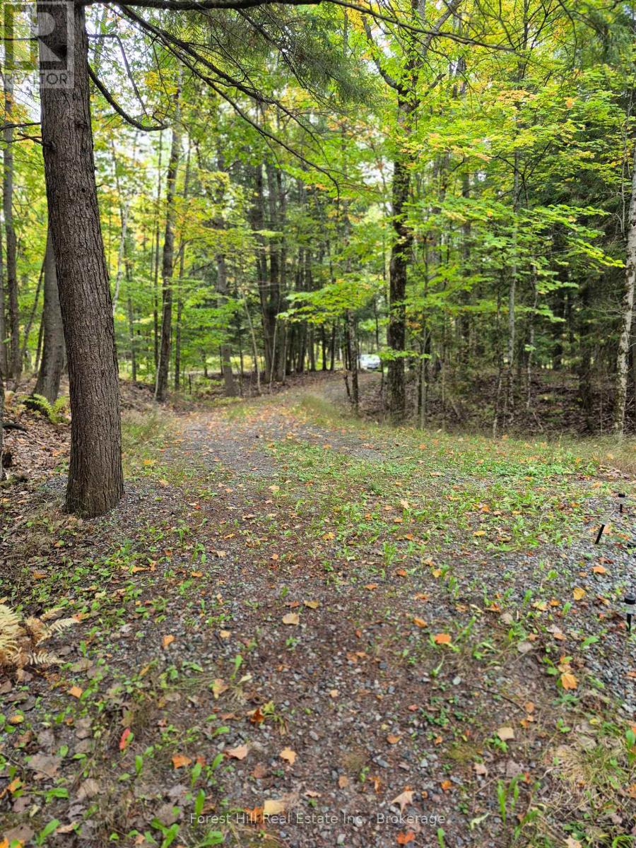 160 West Point Sands Road, Huntsville, Ontario  P1H 2J3 - Photo 22 - X13847004