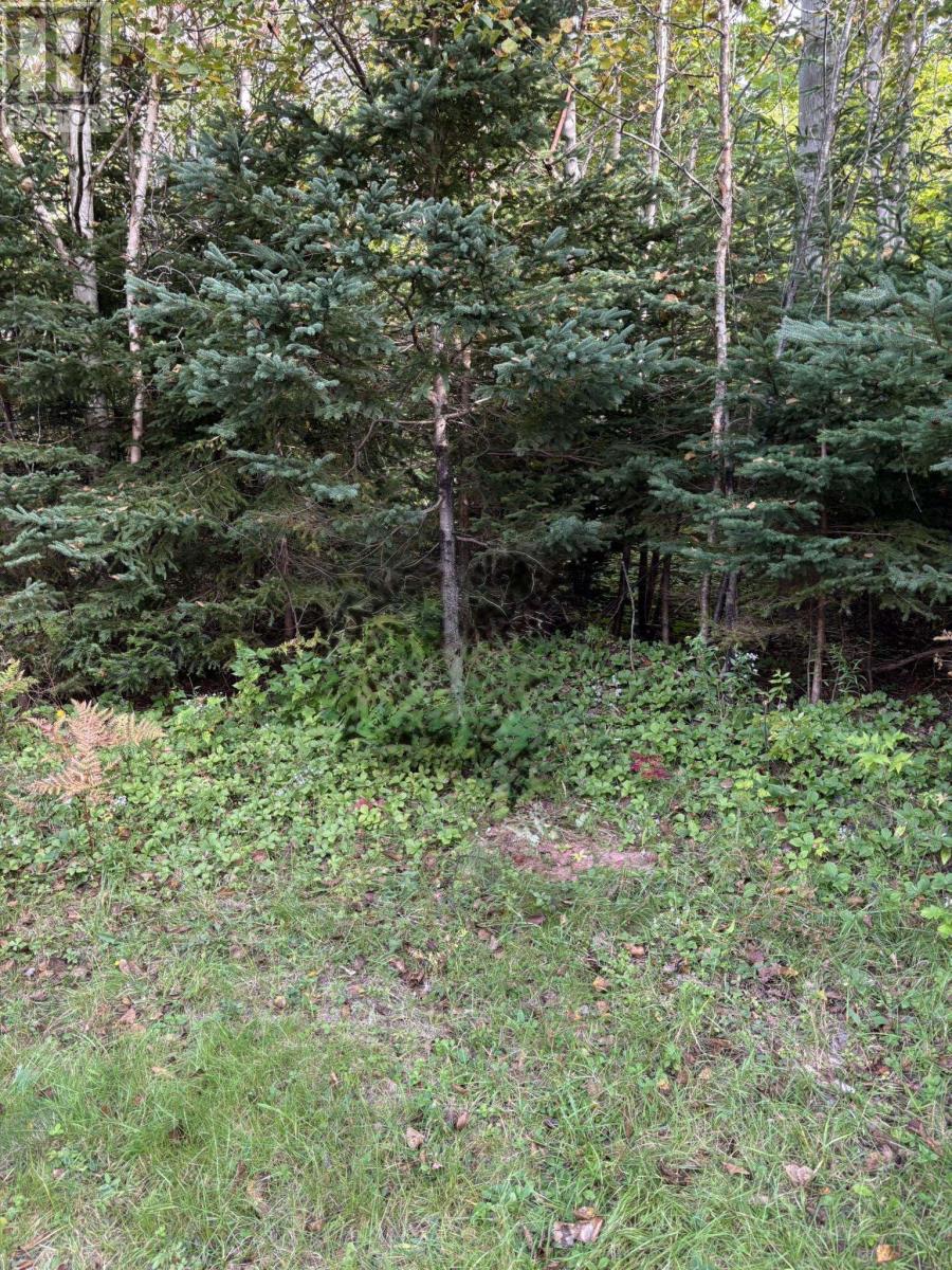 Lot 1 Panmure Island Road, Panmure Island, Prince Edward Island  C0A 1R0 - Photo 1 - 202624763