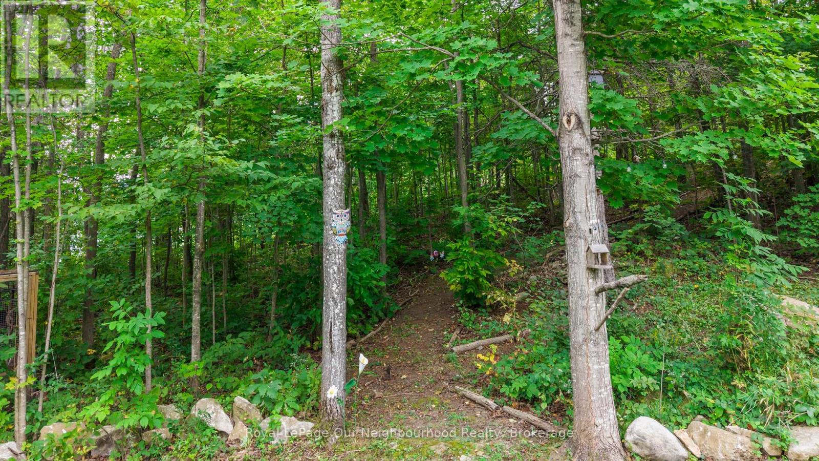 9 Cedar Hill Road, Trent Hills, Ontario  K0K 2M0 - Photo 35 - X13847798