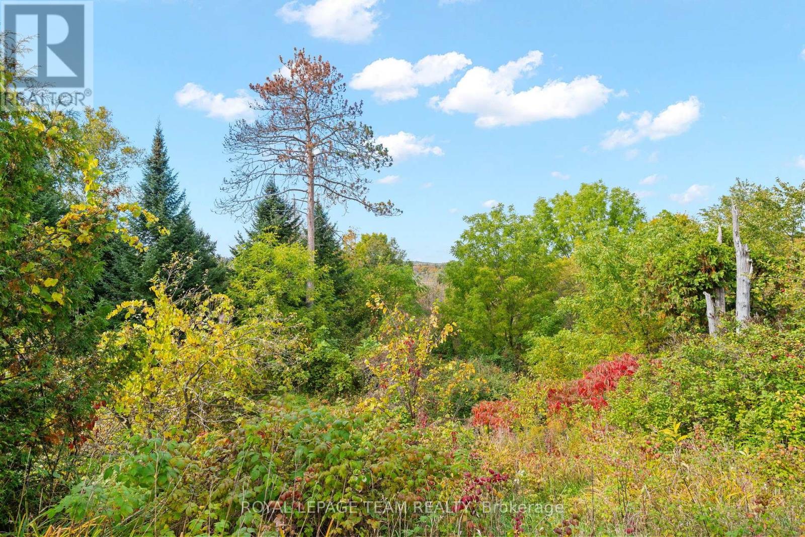 328 Clyde Forks Road, Lanark Highlands, Ontario  K0G 1K0 - Photo 33 - X13847762