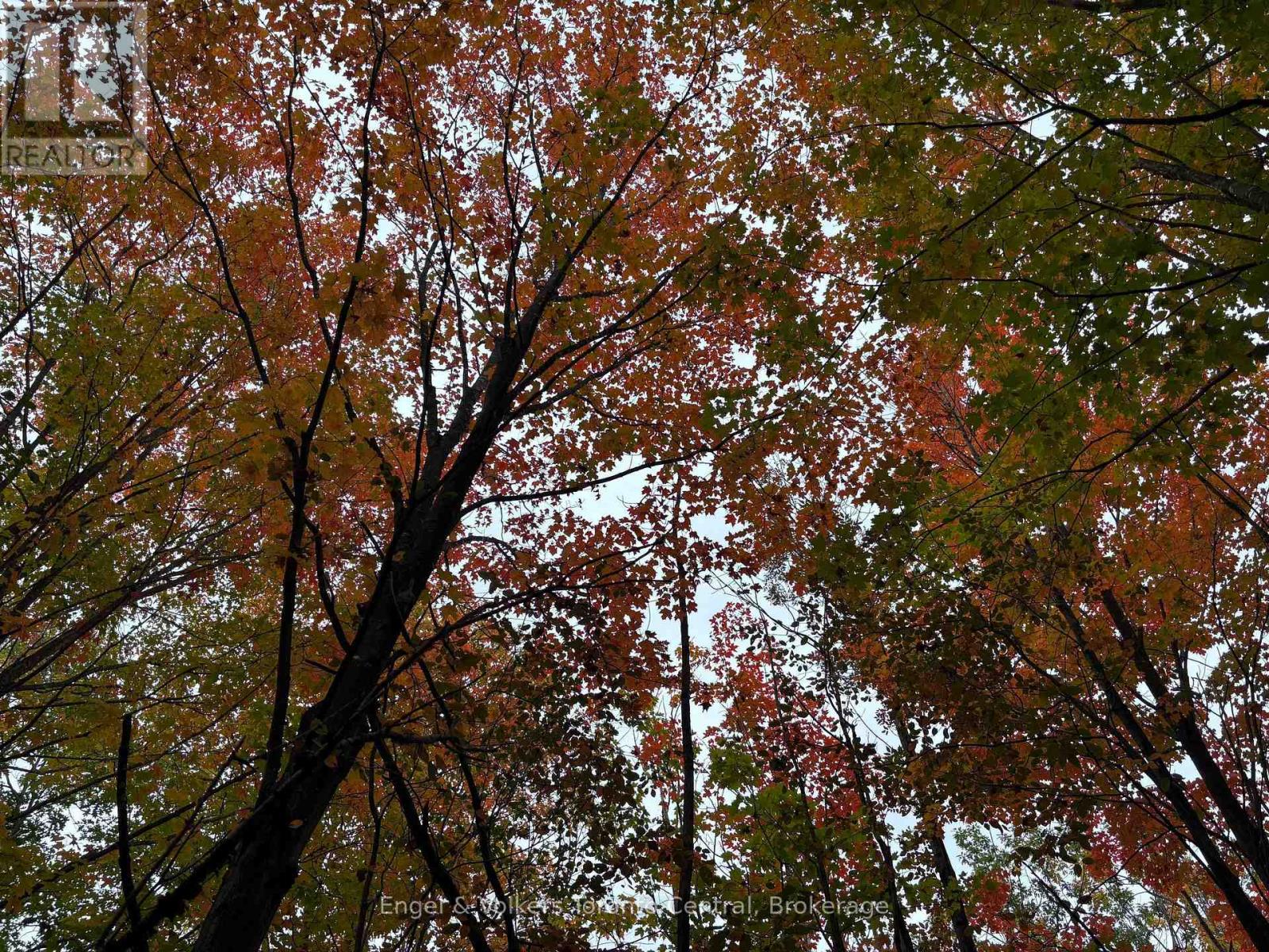 317343 3rd Line, Meaford, Ontario  N4L 1W7 - Photo 30 - X13755206