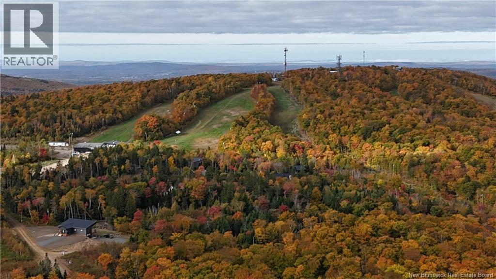 Lot 9 Raven Ridge Road, Central Hainesville, New Brunswick  E6E 2B8 - Photo 6 - NB148778