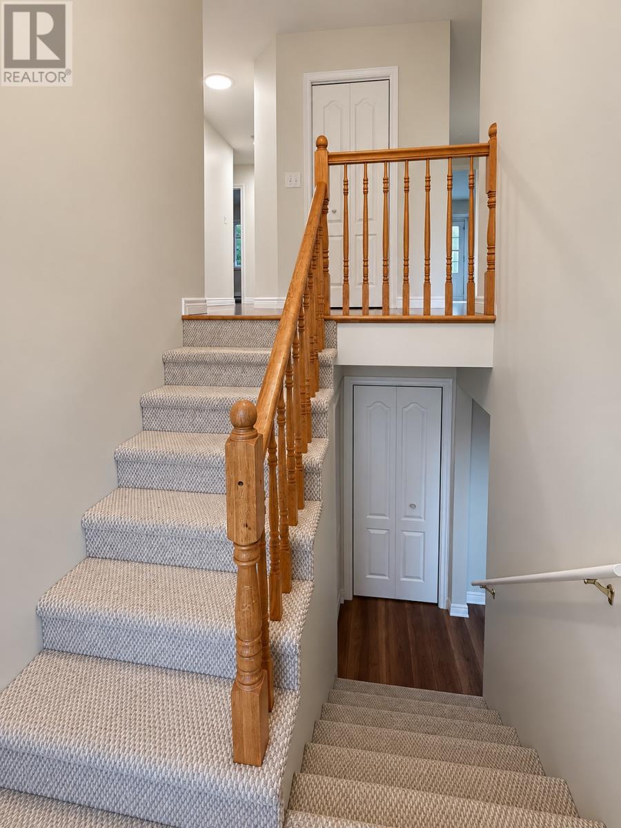 3 Burdell Place, St. John's — photo 4