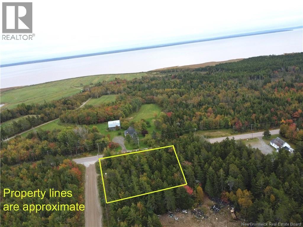 Lot Route 114, Lower Cape, New Brunswick  E4H 3P7 - Photo 7 - NB148626