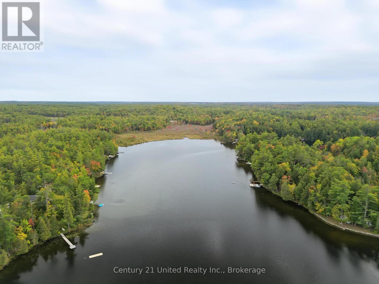 15 Spur 2, Trent Lakes, Ontario  K0L 1J0 - Photo 4 - X13844440
