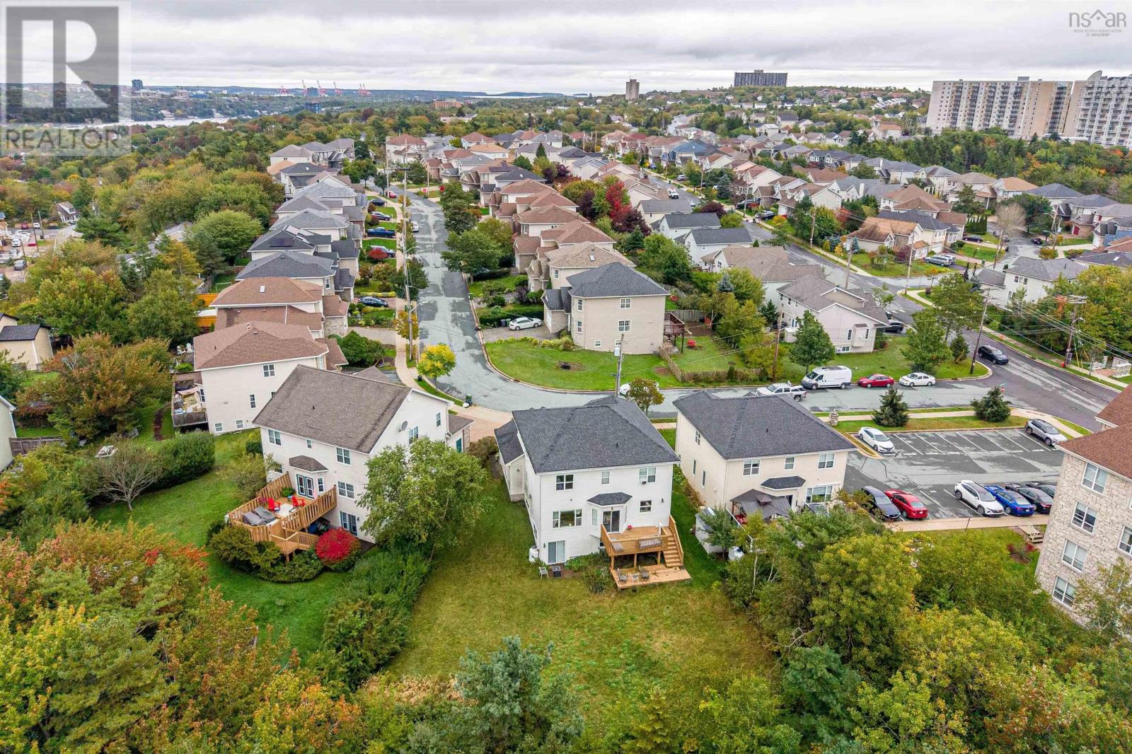 picture 45