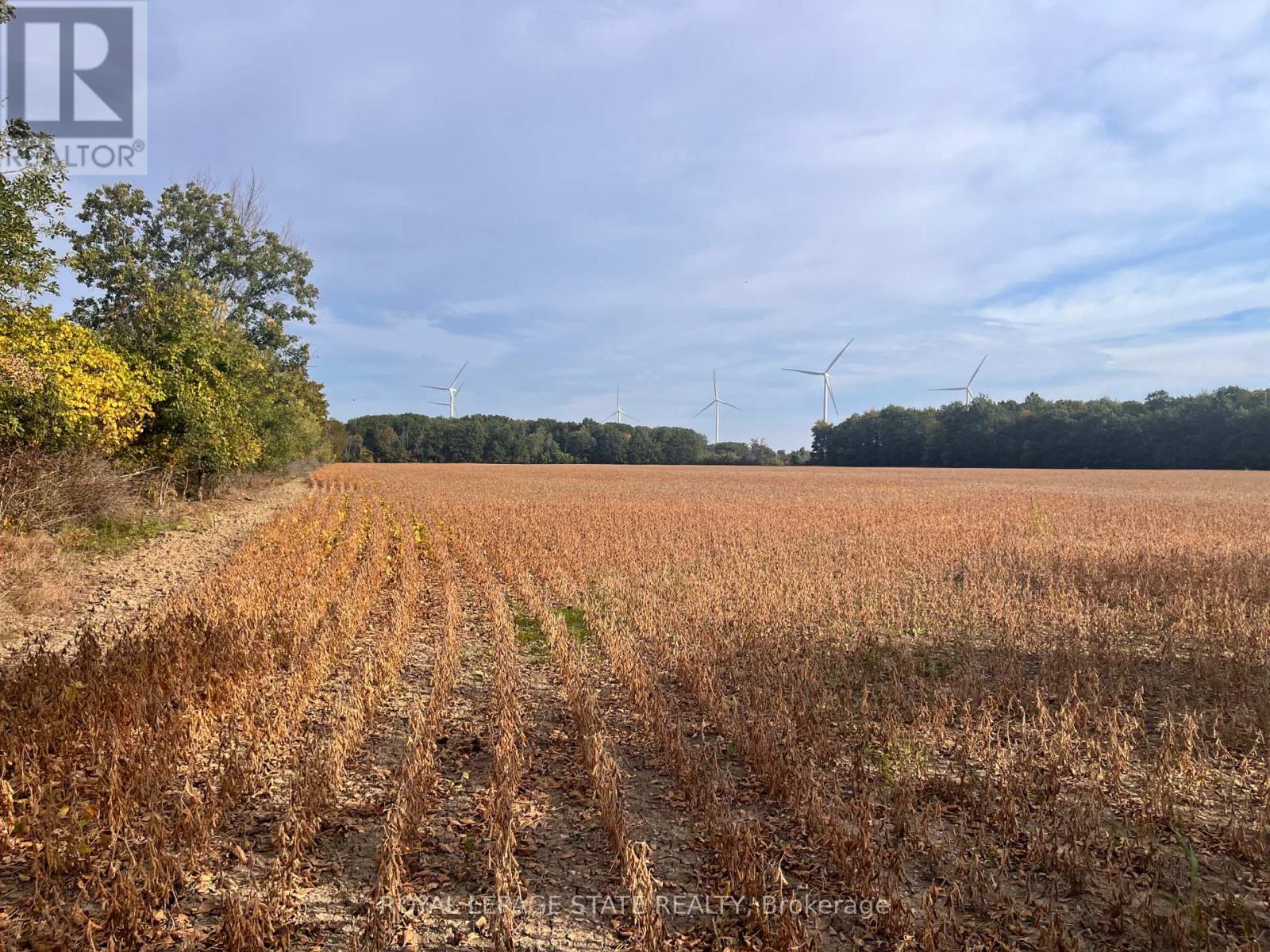 Vl Kings Row, Haldimand, Ontario  N1A 2W7 - Photo 6 - X13847948