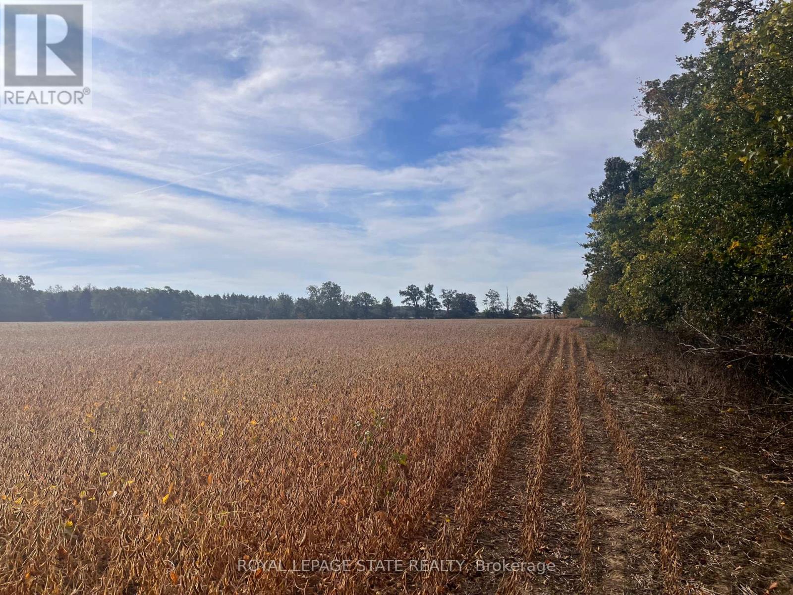 Vl Kings Row, Haldimand, Ontario  N1A 2W7 - Photo 8 - X13847948