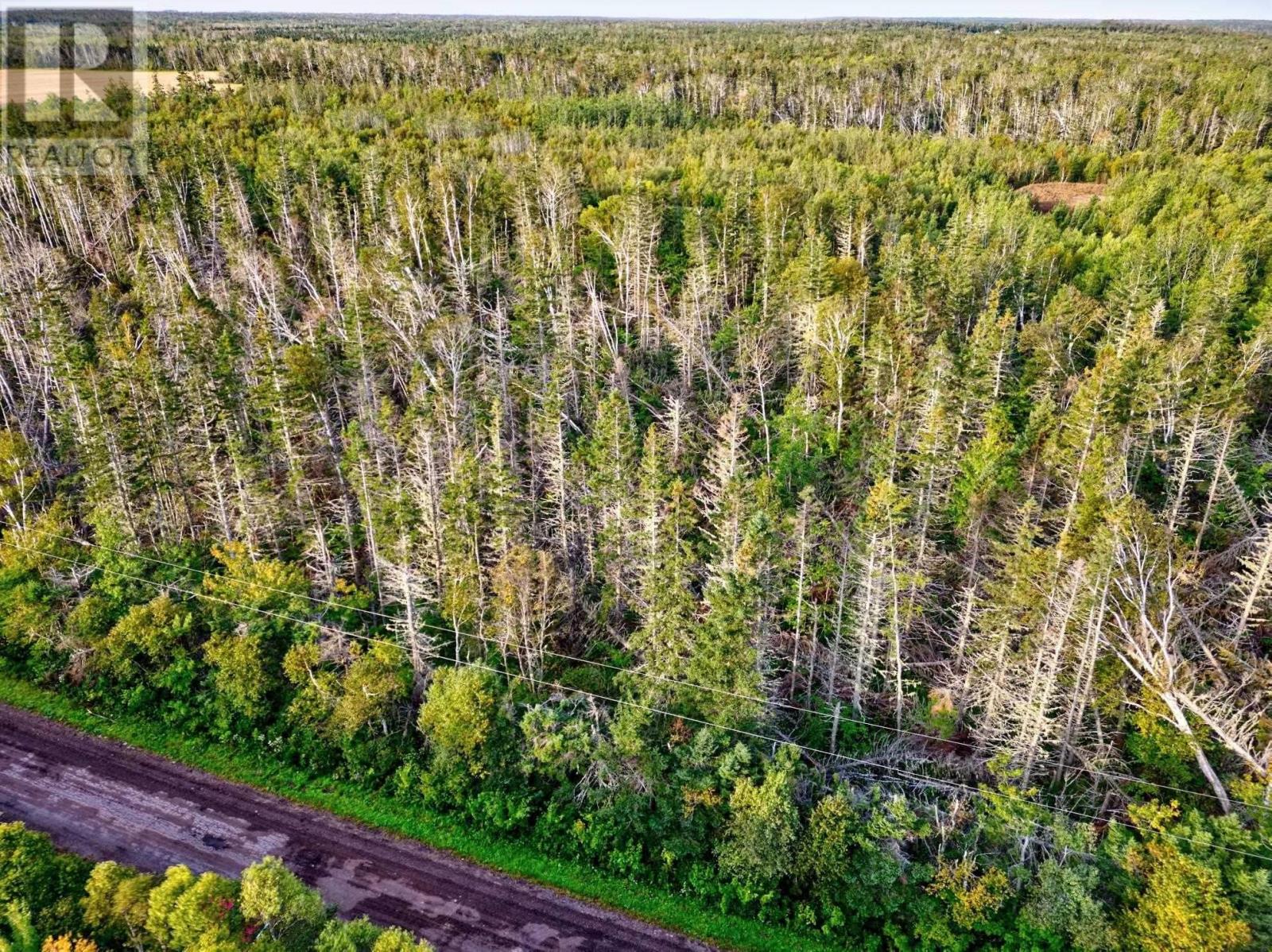 Lot 7 Hermitage Road, Monticello, Prince Edward Island  C0A 2B0 - Photo 10 - 202624792