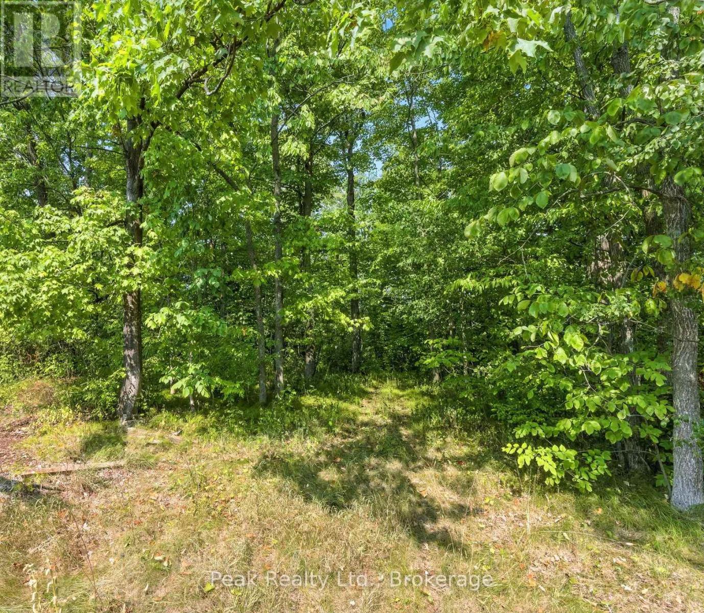 1849 Fry Road, Prince Edward County, Ontario  K0K 2T0 - Photo 10 - X13709708