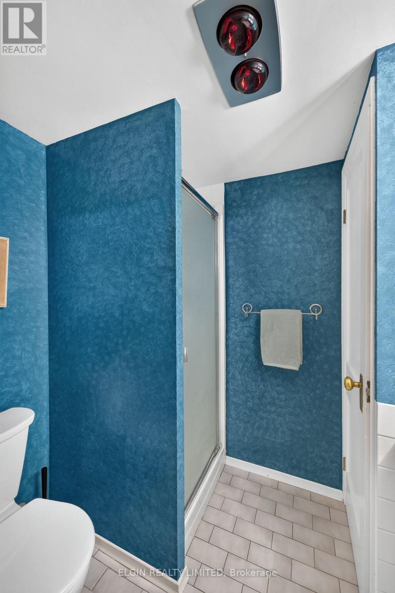 181 Locust Street, St. Thomas, Ontario  N5R 2C8 - Photo 38 - X13849022