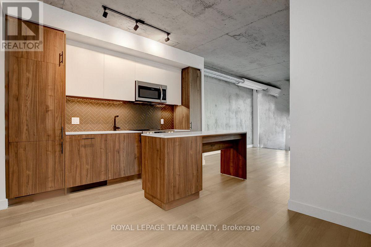 509 - 10 James Street, Ottawa, Ontario  K2P 1T2 - Photo 4 - X13849104