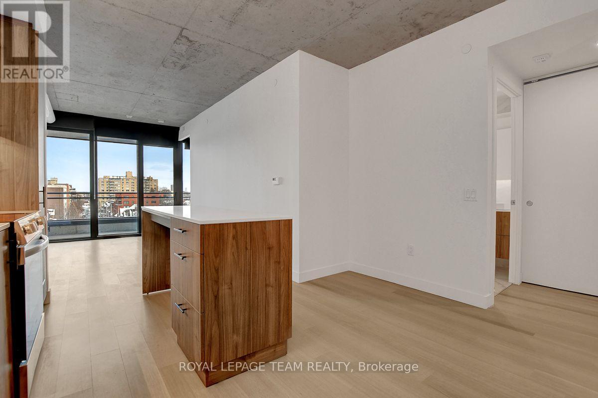 509 - 10 James Street, Ottawa, Ontario  K2P 1T2 - Photo 5 - X13849104