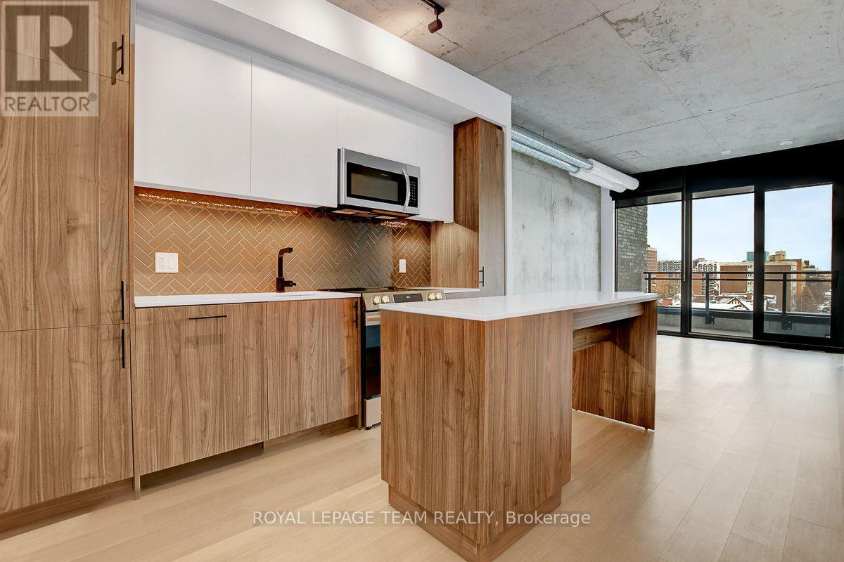 509 - 10 James Street, Ottawa, Ontario  K2P 1T2 - Photo 6 - X13849104