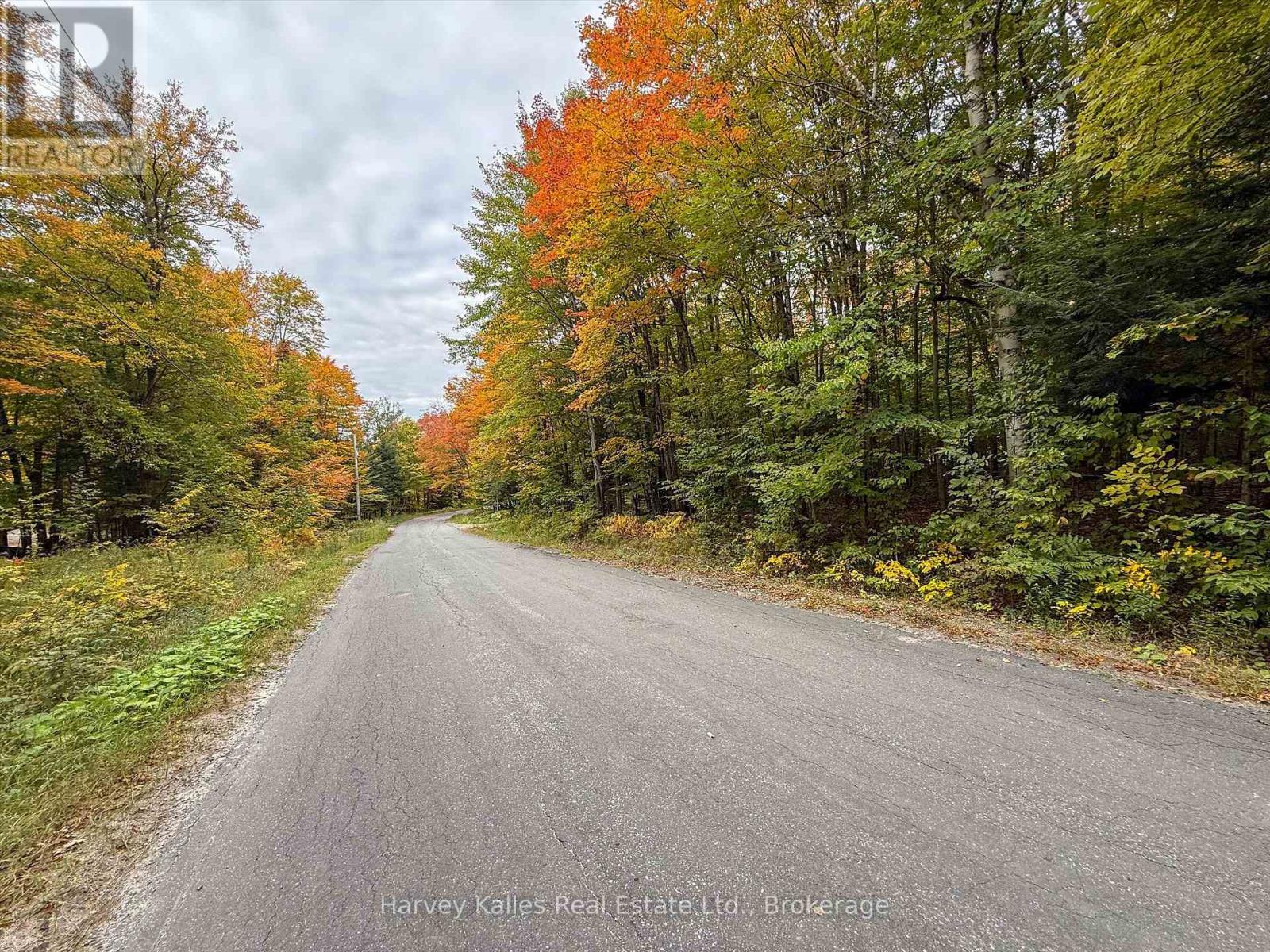 481 Gryffin Lodge Road, Huntsville, Ontario  P0B 1M0 - Photo 2 - X13849040