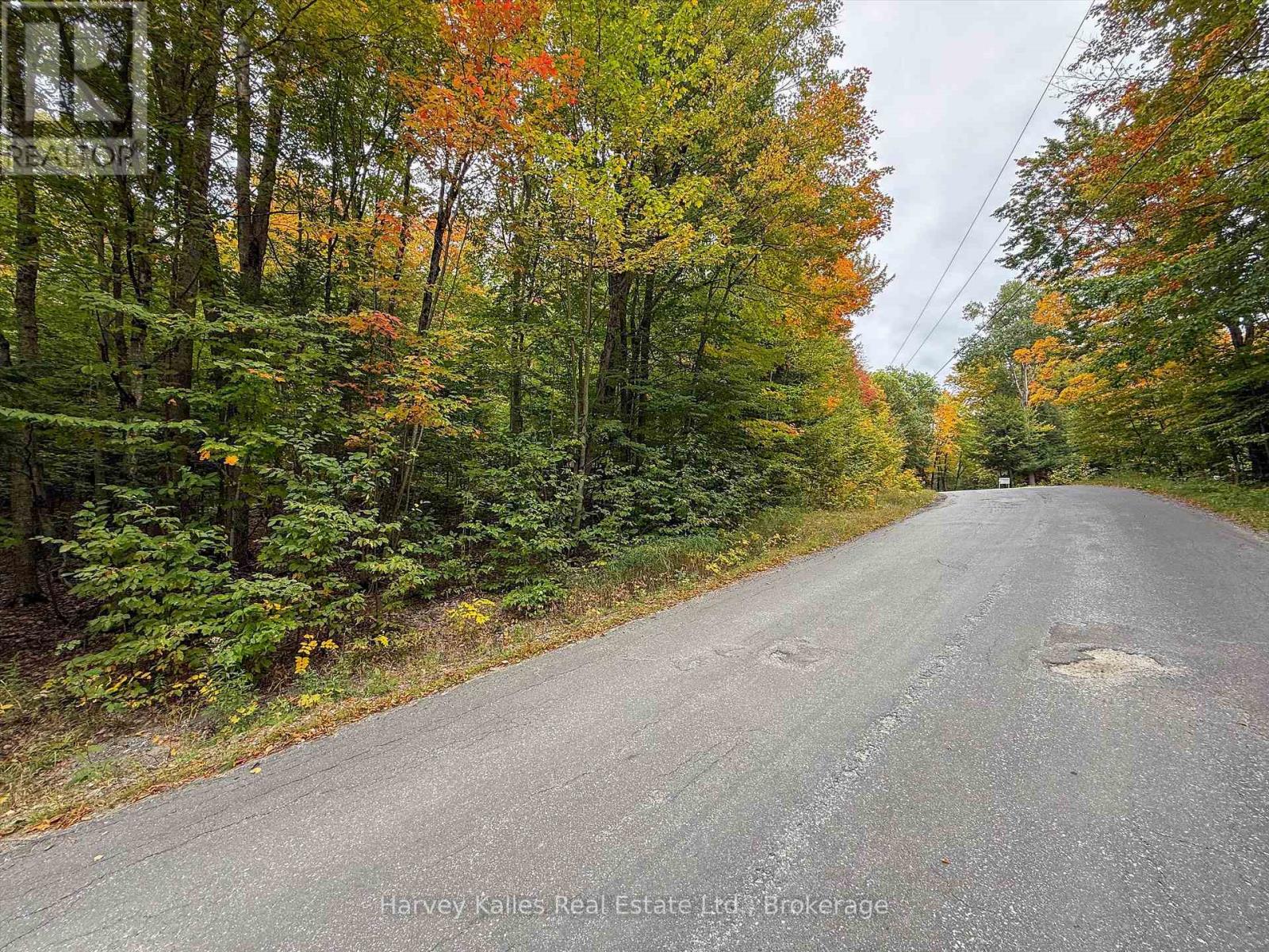 481 Gryffin Lodge Road, Huntsville, Ontario  P0B 1M0 - Photo 3 - X13849040