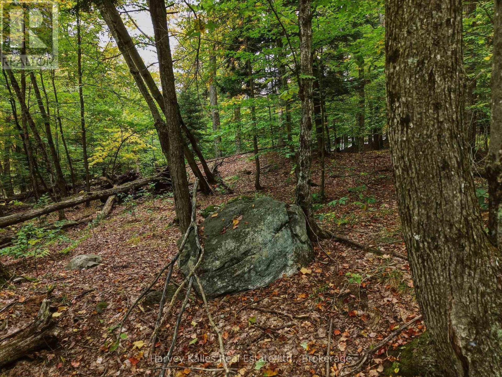 481 Gryffin Lodge Road, Huntsville, Ontario  P0B 1M0 - Photo 6 - X13849040