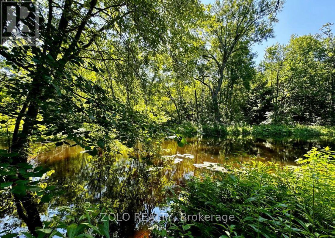 886 Monck Road, Kawartha Lakes, Ontario  L0K 1W0 - Photo 28 - X13848876