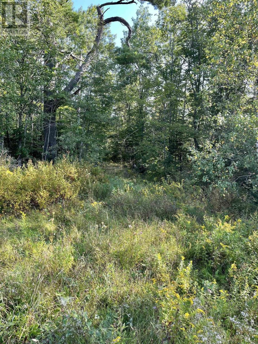 picture 1