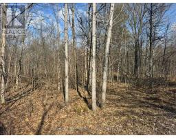 0 CALIFORNIA ROAD, Stone Mills, Ontario