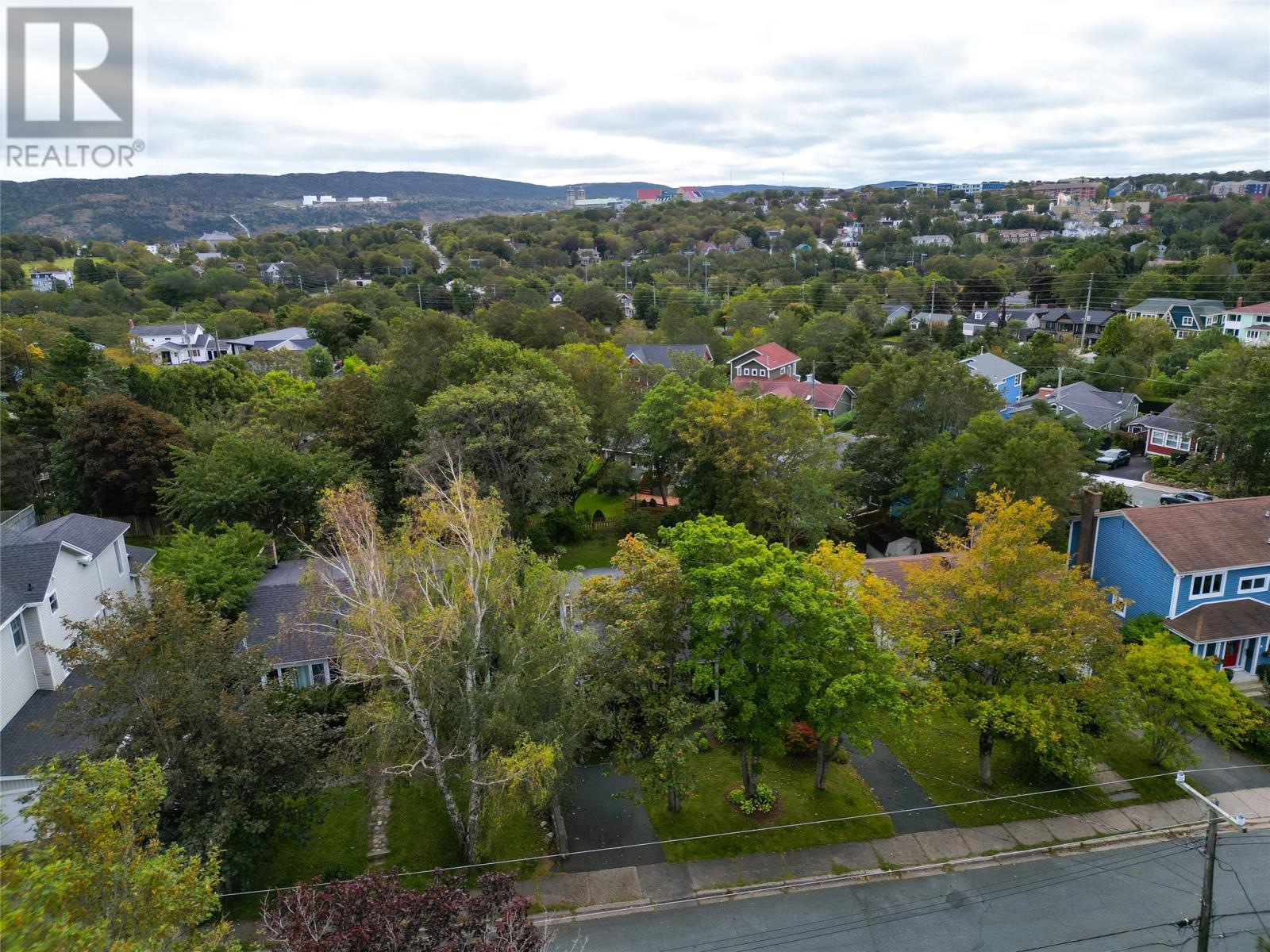 19 First Avenue, St. John's, Newfoundland & Labrador  A1B 1N3 - Photo 39 - 1303869
