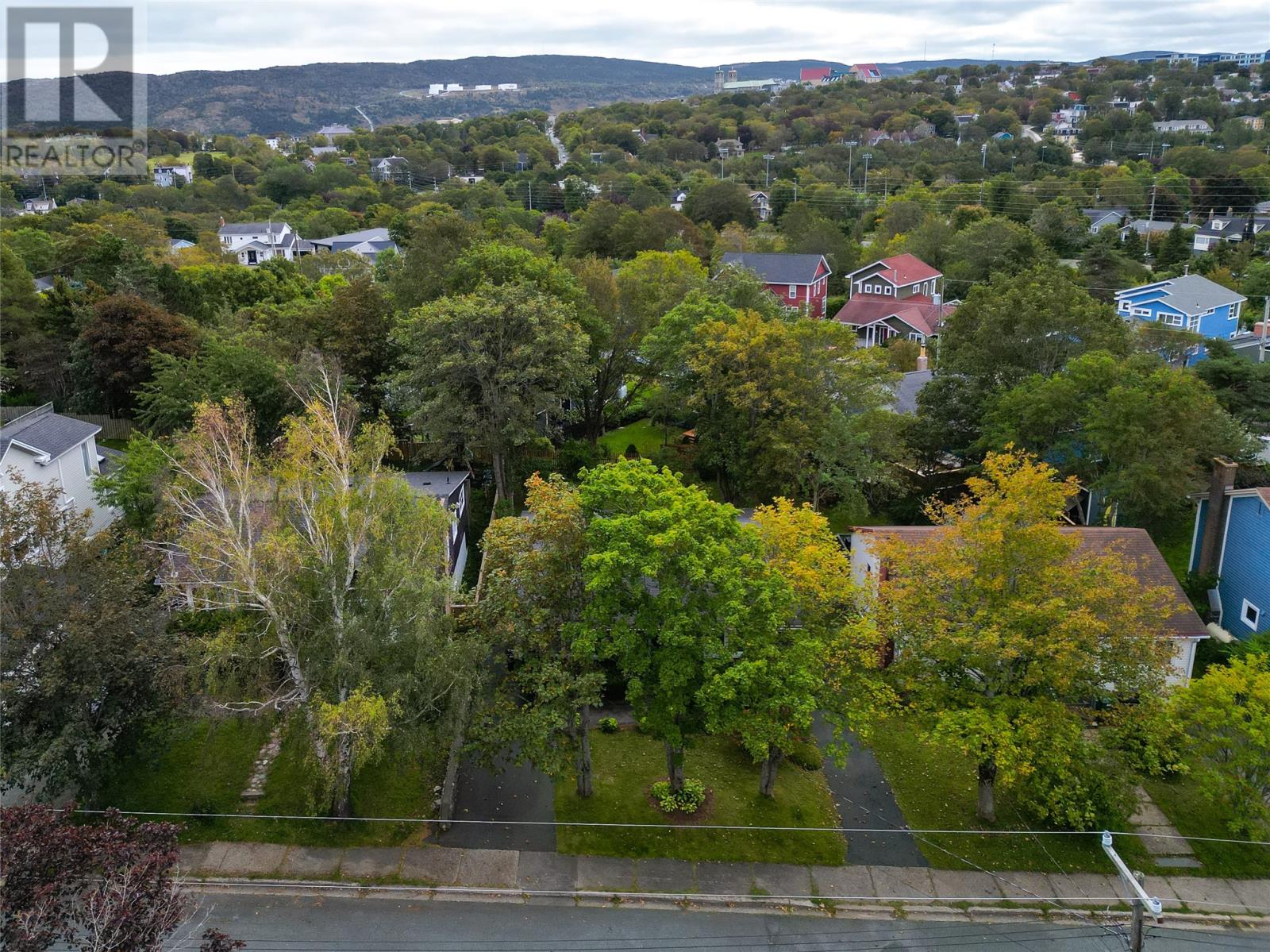 19 First Avenue, St. John's, Newfoundland & Labrador  A1B 1N3 - Photo 40 - 1303869