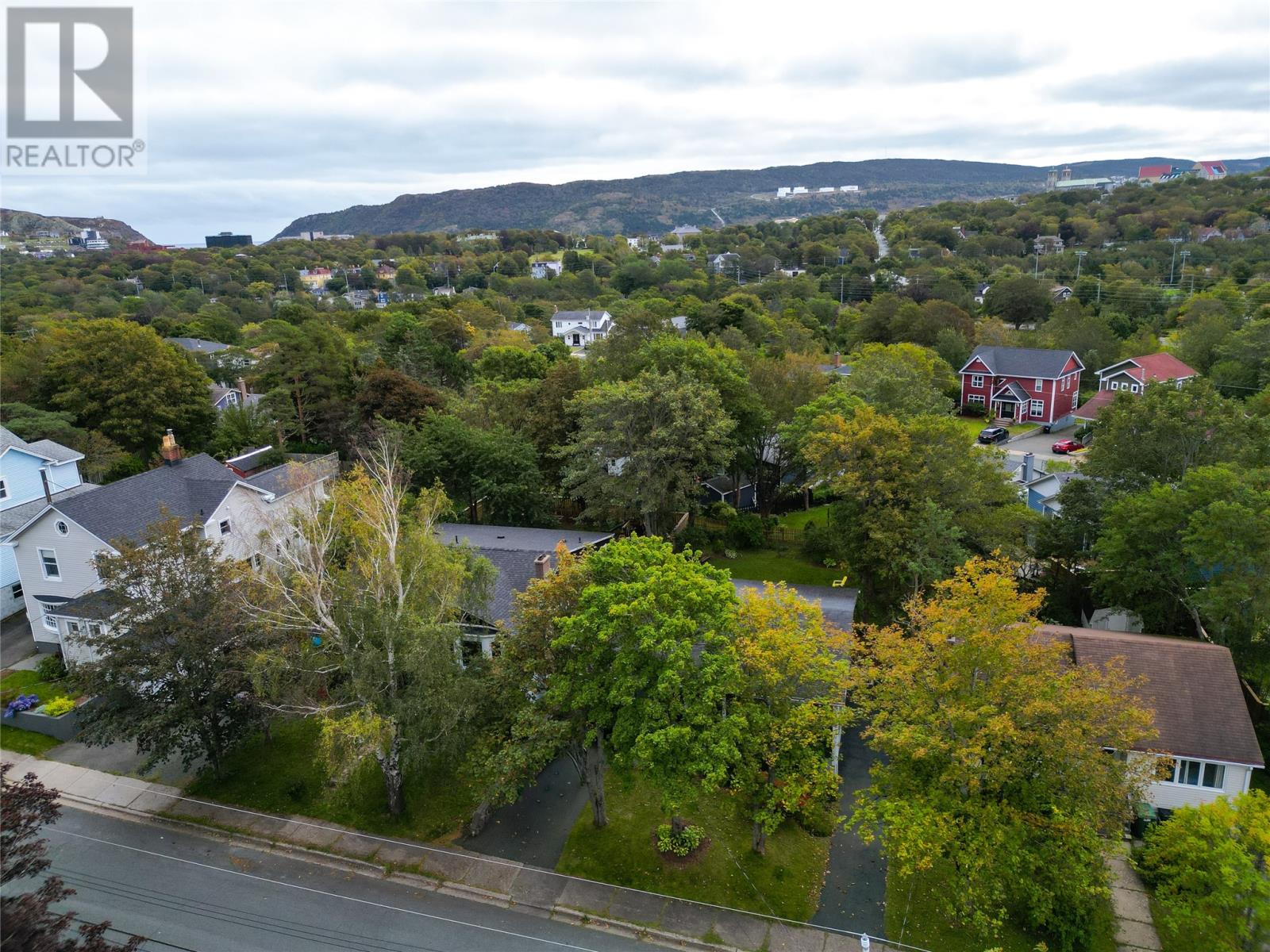 19 First Avenue, St. John's, Newfoundland & Labrador  A1B 1N3 - Photo 41 - 1303869