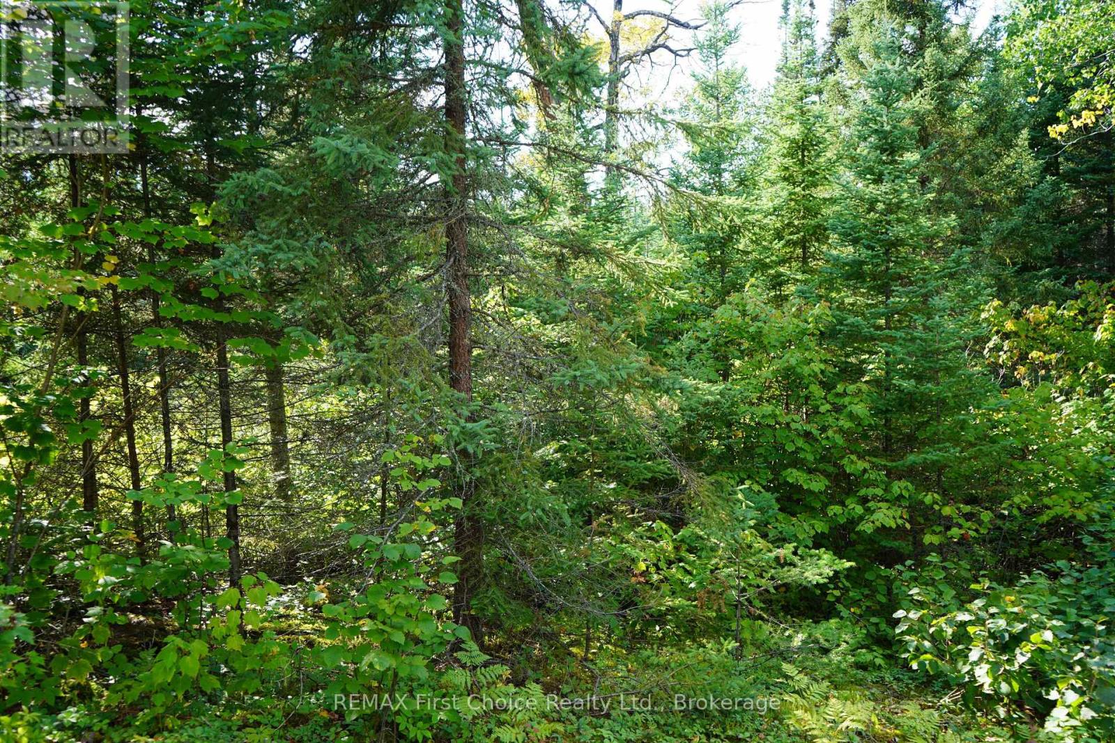Lot 2 Gunn Lake Road, Kenora Remote Area, Ontario  P0X 1J0 - Photo 37 - X13849690