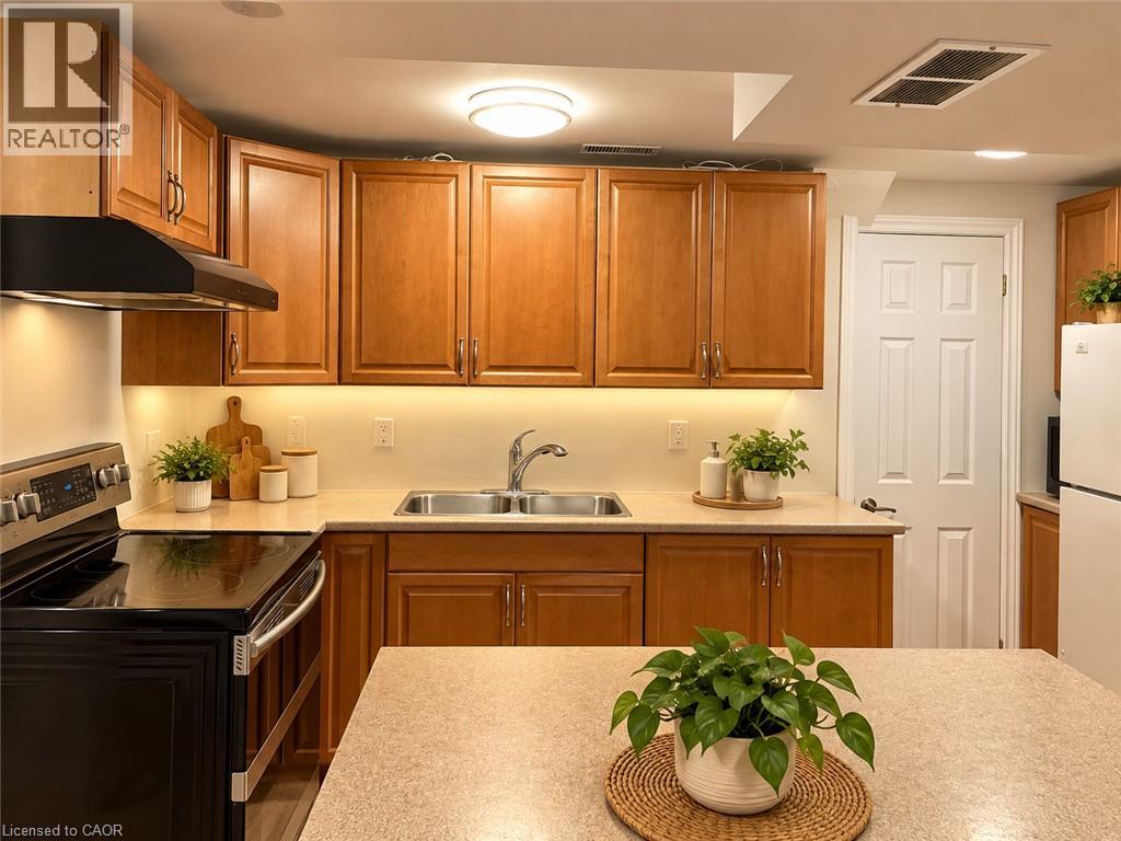 249 Blucher Street Unit# Lower, Kitchener, Ontario  N2H 5V6 - Photo 5 - 40867628