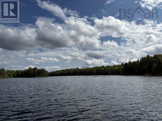 picture 0