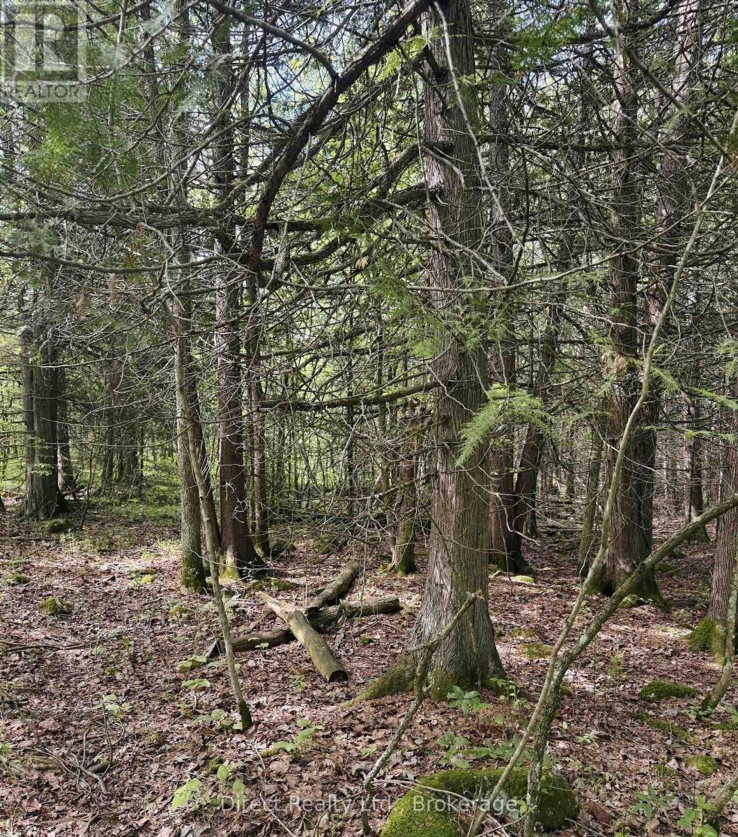 371 A Wellmans Road, Stirling-Rawdon, Ontario  K0K 3E0 - Photo 10 - X13850050