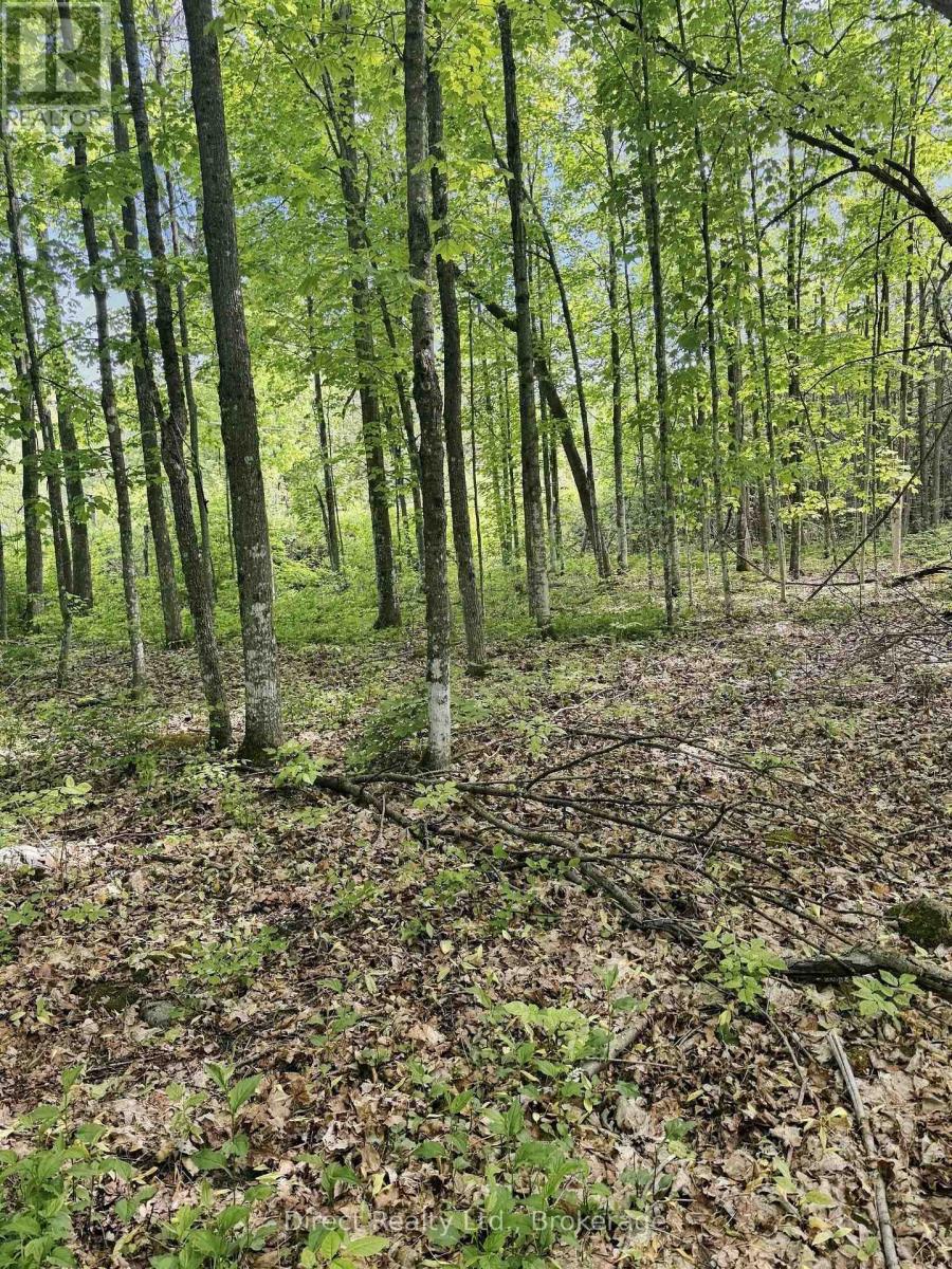 371 A Wellmans Road, Stirling-Rawdon, Ontario  K0K 3E0 - Photo 6 - X13850050