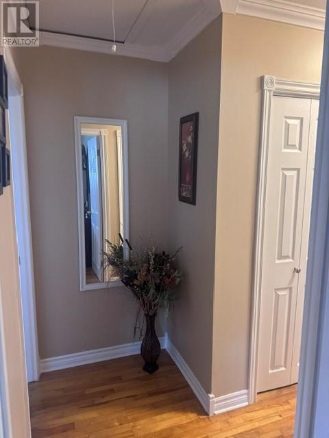 233 Elizabeth Drive, Gander — photo 9