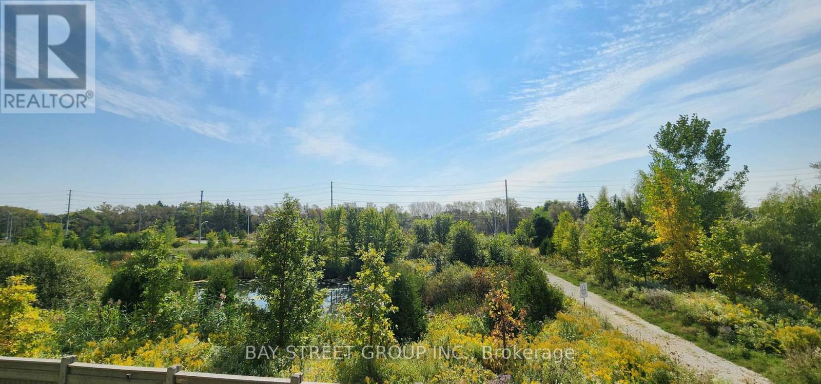 246 Degraaf Crescent, Aurora, Ontario  L4G 0X1 - Photo 27 - N13849950