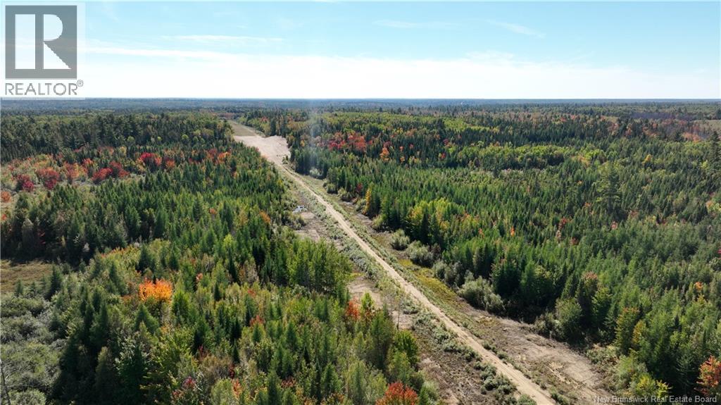 395 Brophy Road, Arbeau Settlement, New Brunswick  E9B 1P8 - Photo 10 - NB147539