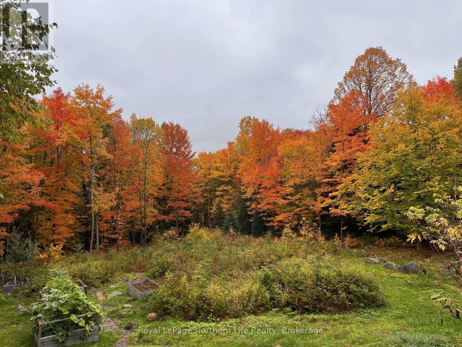 472 O'connor Line, Powassan, Ontario  P0H 1Z0 - Photo 6 - X13686166