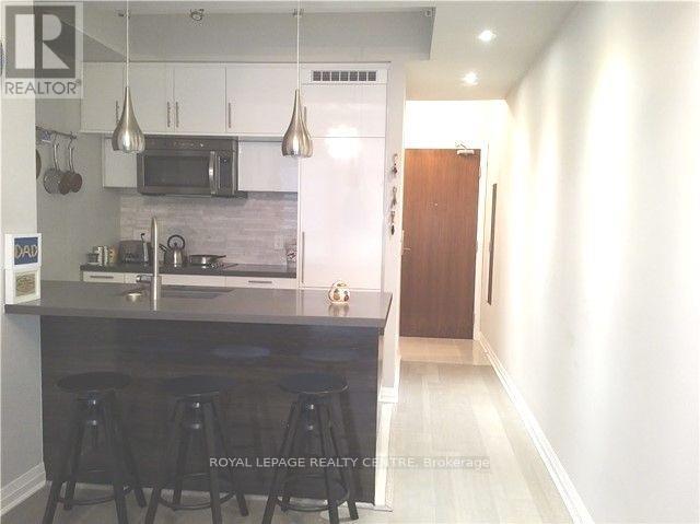 518 - 8 Mercer Street, Toronto, Ontario  M5V 0C4 - Photo 4 - C13850240