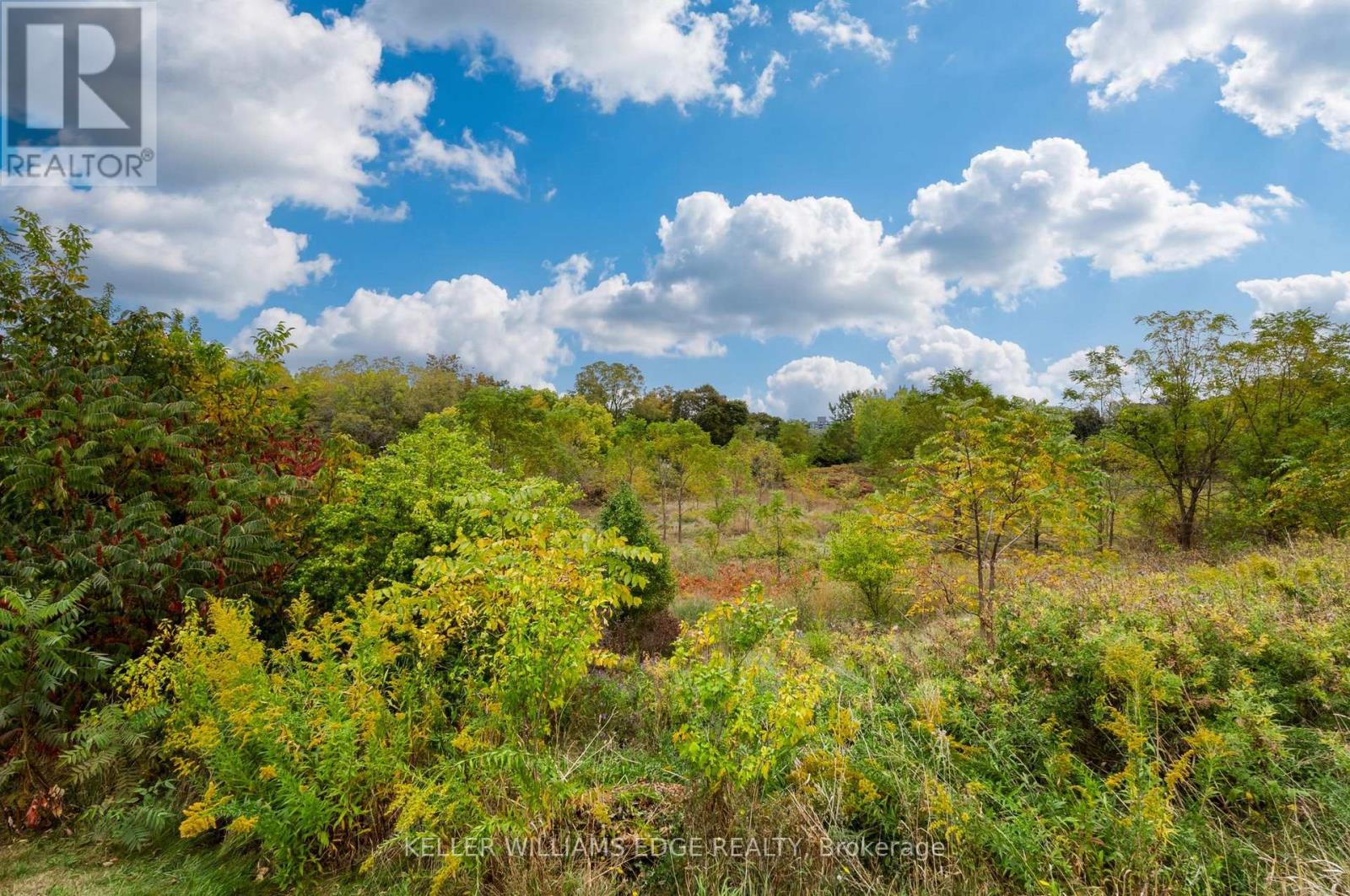 54 Monte Drive, Hamilton, Ontario  L8G 4M5 - Photo 40 - X13850344