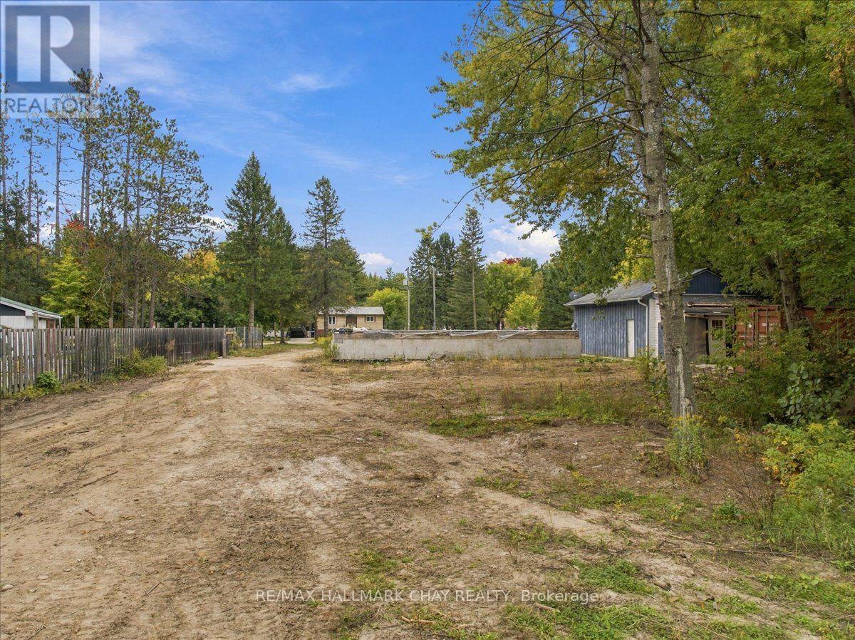 8240 Main Street, Adjala-Tosorontio, Ontario  L0M 1M0 - Photo 12 - N13549000