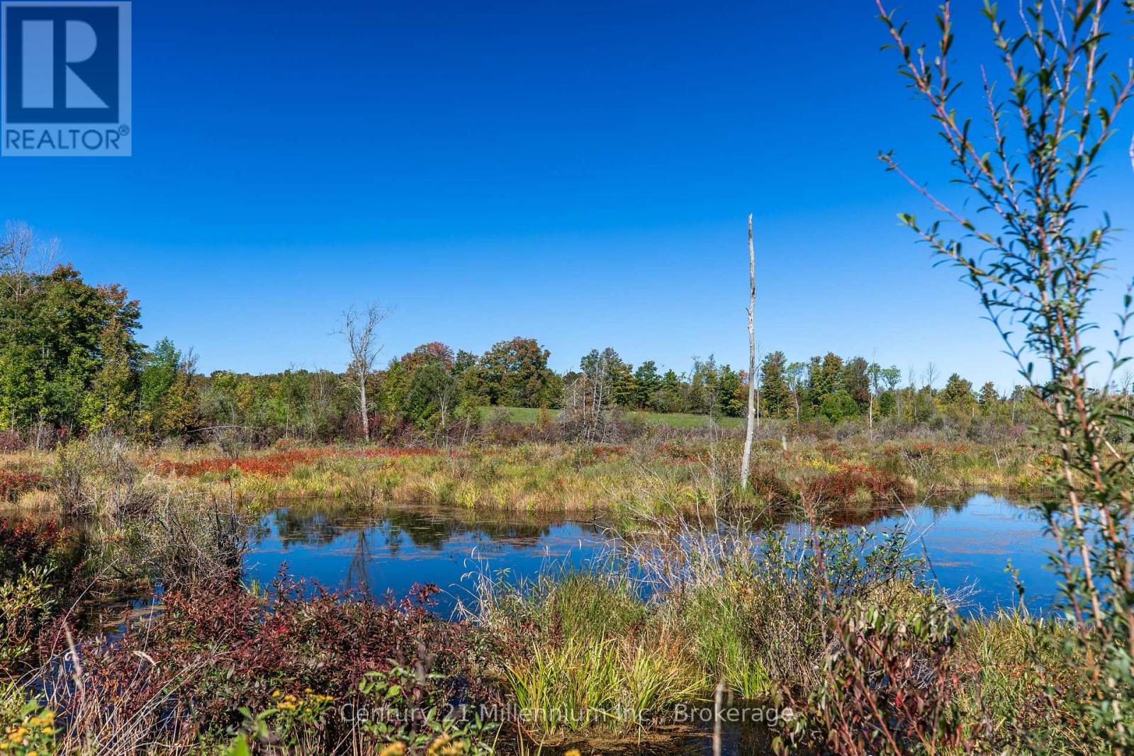 395 Elsinore Road N, South Bruce Peninsula, Ontario  N0H 1A0 - Photo 22 - X13850852