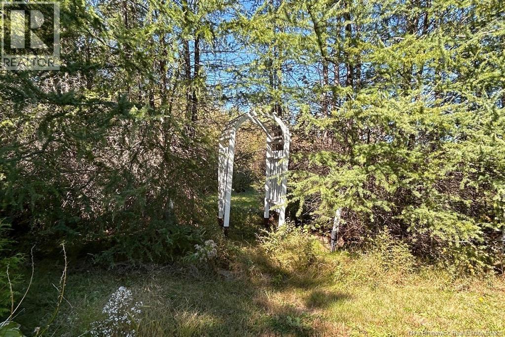 8034 Route 134, Galloway, New Brunswick  E4W 5T4 - Photo 33 - NB148914