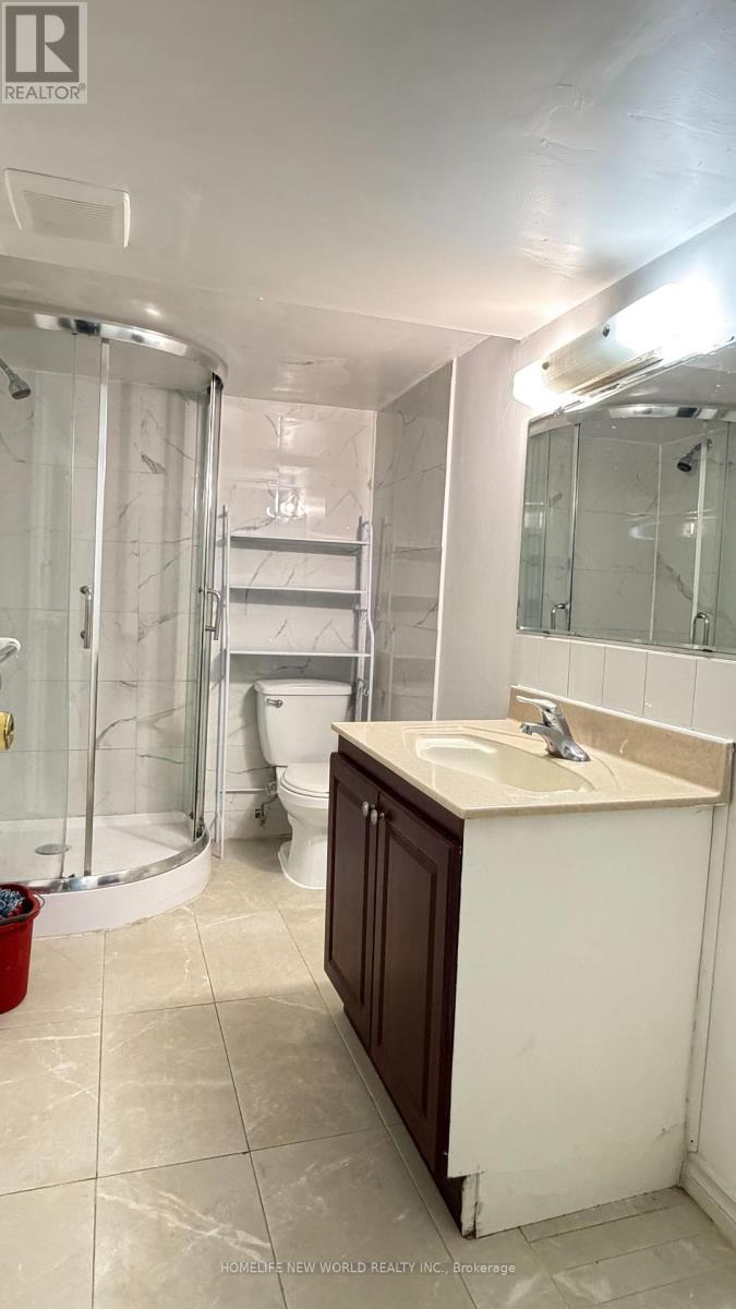 Basement - 120 Hollyberry Trail, Toronto, Ontario  M2H 2P1 - Photo 7 - C13851008