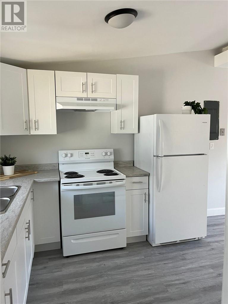 755 Ontario Street, Sudbury, Ontario  P3E 4K9 - Photo 20 - 2130722