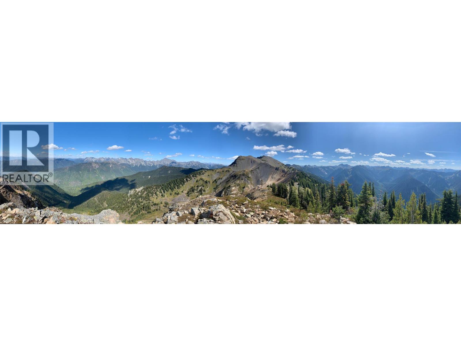 593, 594, 595, 1848, 1850 Mt. Payne FSR