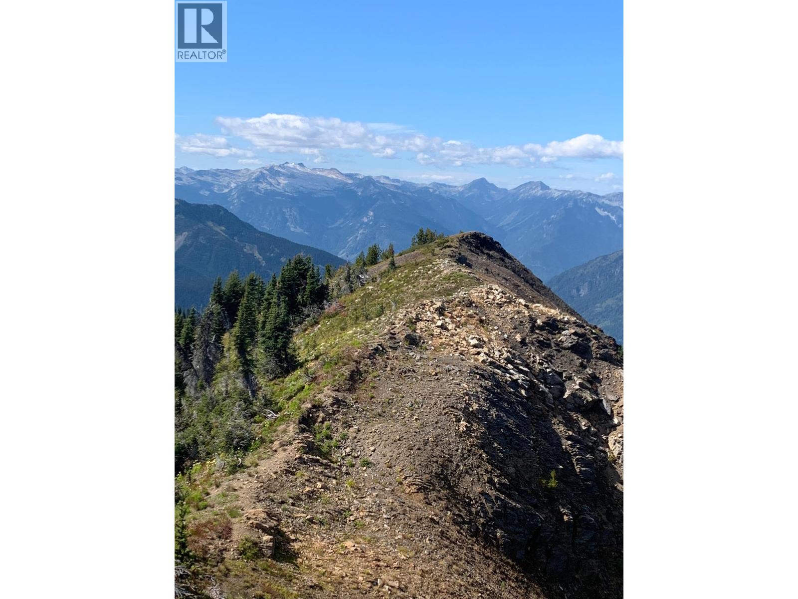 593, 594, 595, 1848, 1850 Mt. Payne FSR