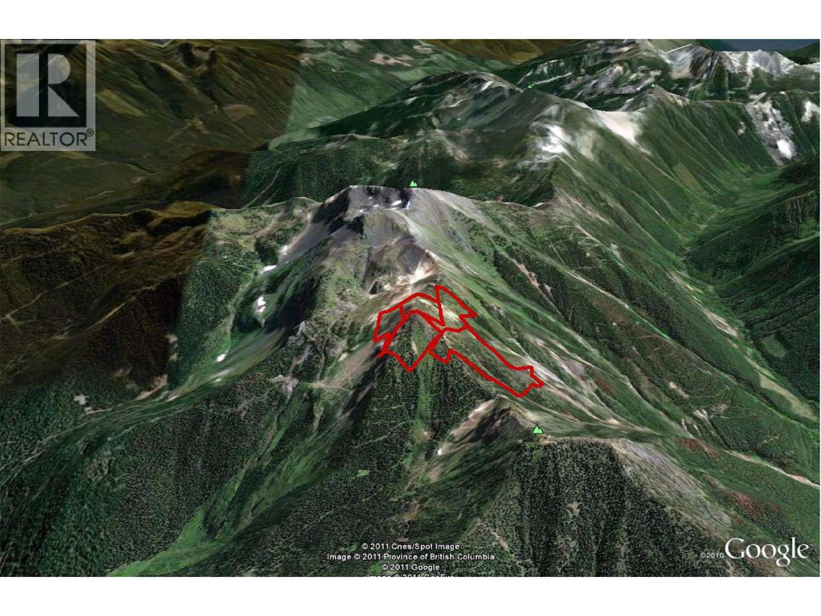 593, 594, 595, 1848, 1850 Mt. Payne FSR
