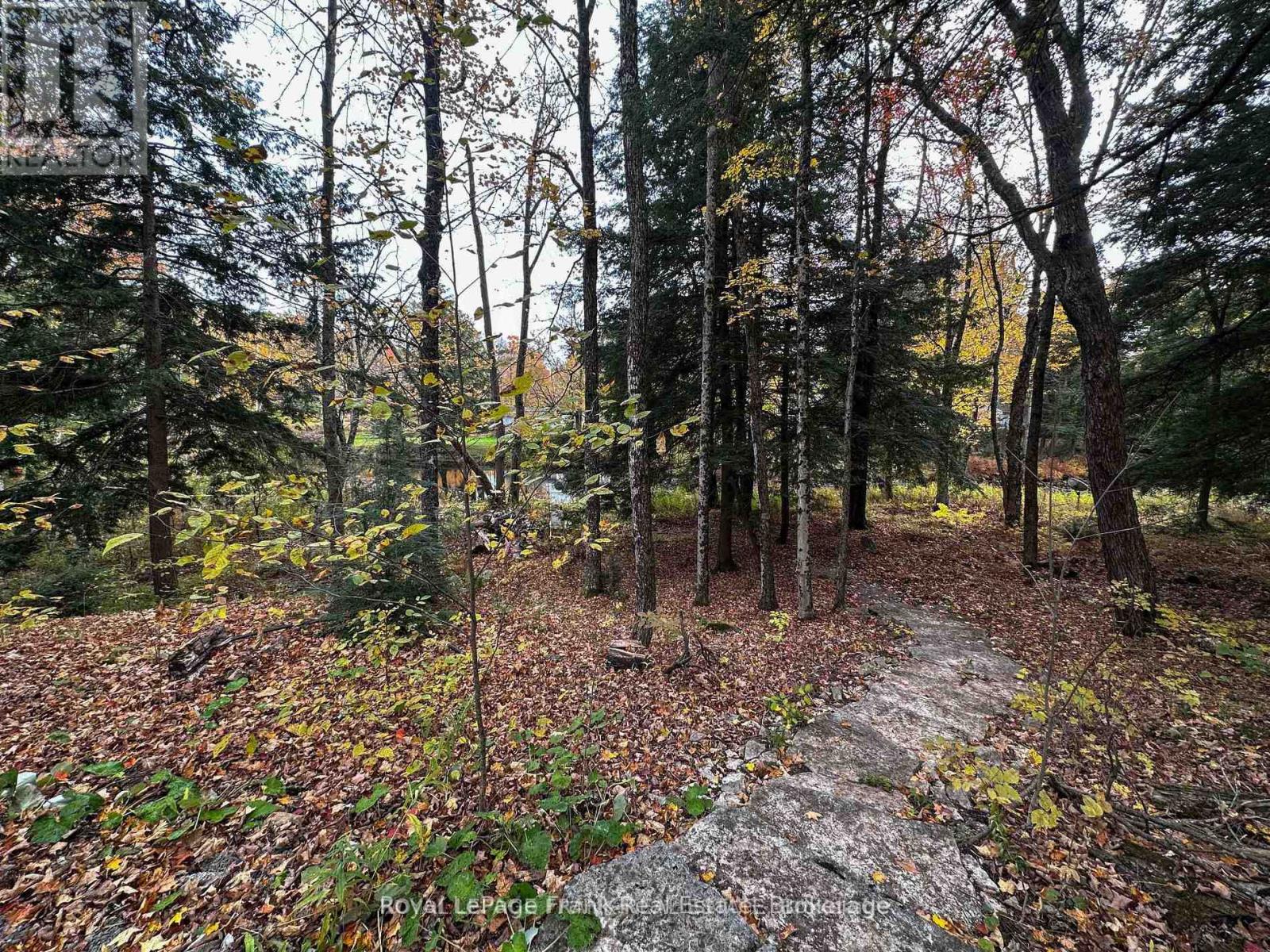 292 Edwina Drive, Trent Lakes, Ontario  K0M 1A0 - Photo 11 - X13851804