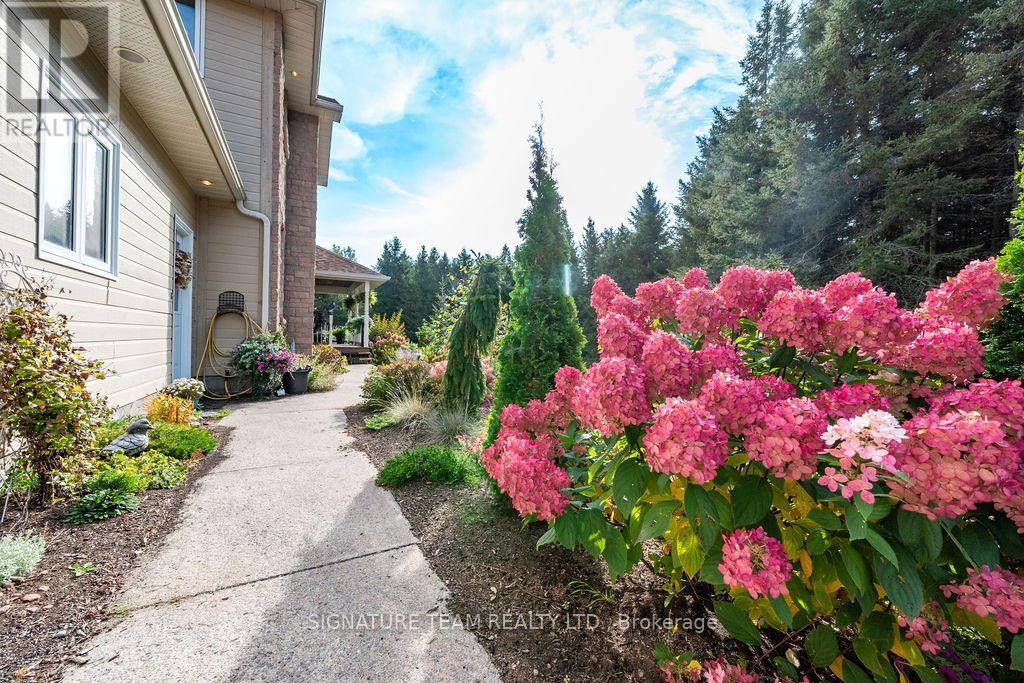 368 Dombroskie Road, Whitewater Region, Ontario K0J 1Y0 - Photo 43 - X13851648